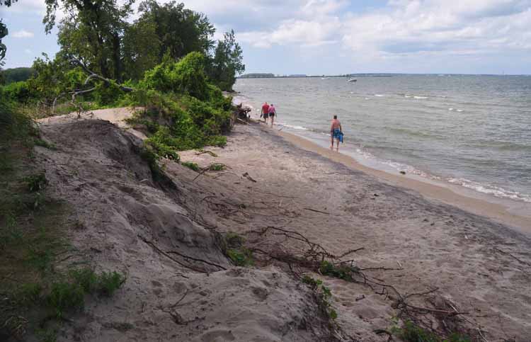 shoreline